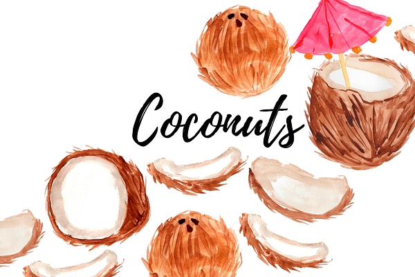 Watercolor Coconut Clipart