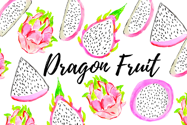 Watercolor Dragon Fruit Clipart