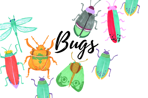 Watercolor Bug Clipart