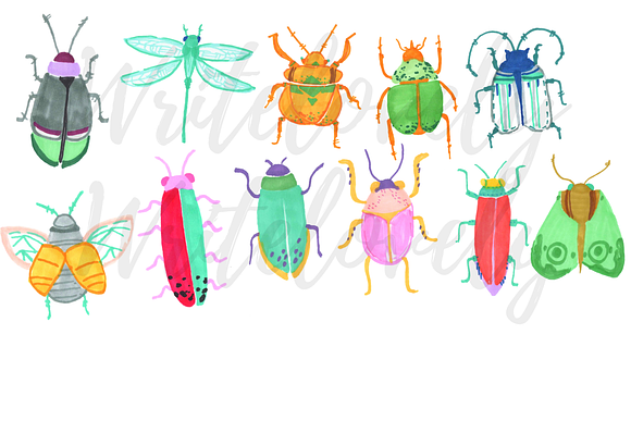 Watercolor Bug Clipart in Illustrations - product preview 1