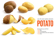 Potato Realistic Set