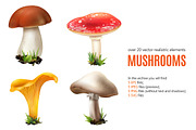 Mushrooms Realistic Set