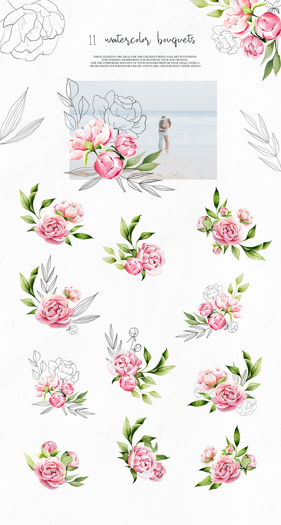 Delicate Peony watercolor collection in Illustrations - product preview 5