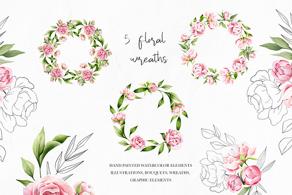 Delicate Peony watercolor collection in Illustrations - product preview 6