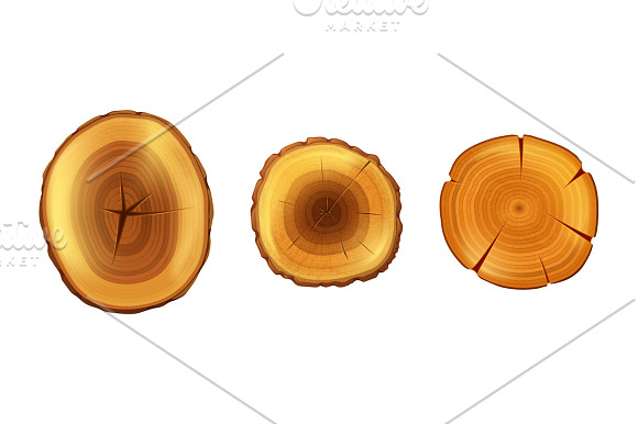 Tree Stump Set in Illustrations - product preview 3