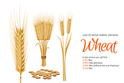 Wheat Grain Set
