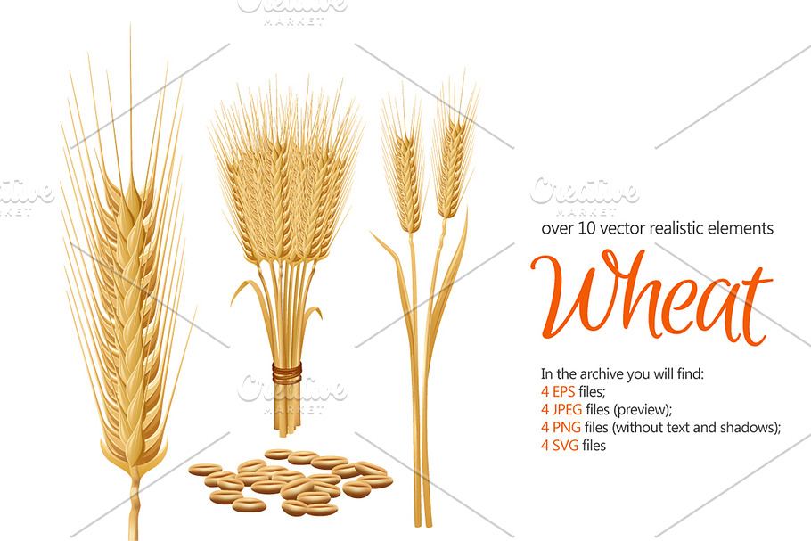 Wheat Grain Set in Illustrations - product preview 8