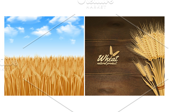 Wheat Grain Set in Illustrations - product preview 2