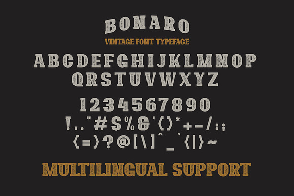 10 Font - Bonaro Font Family in Display Fonts - product preview 5