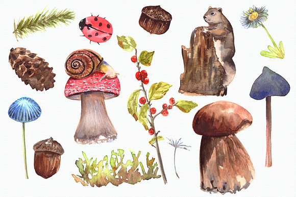 In The Forest - Clip Art Set in Illustrations - product preview 1