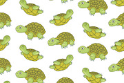Set of Turtles and Pattern