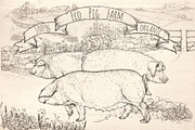 Eco pig farm