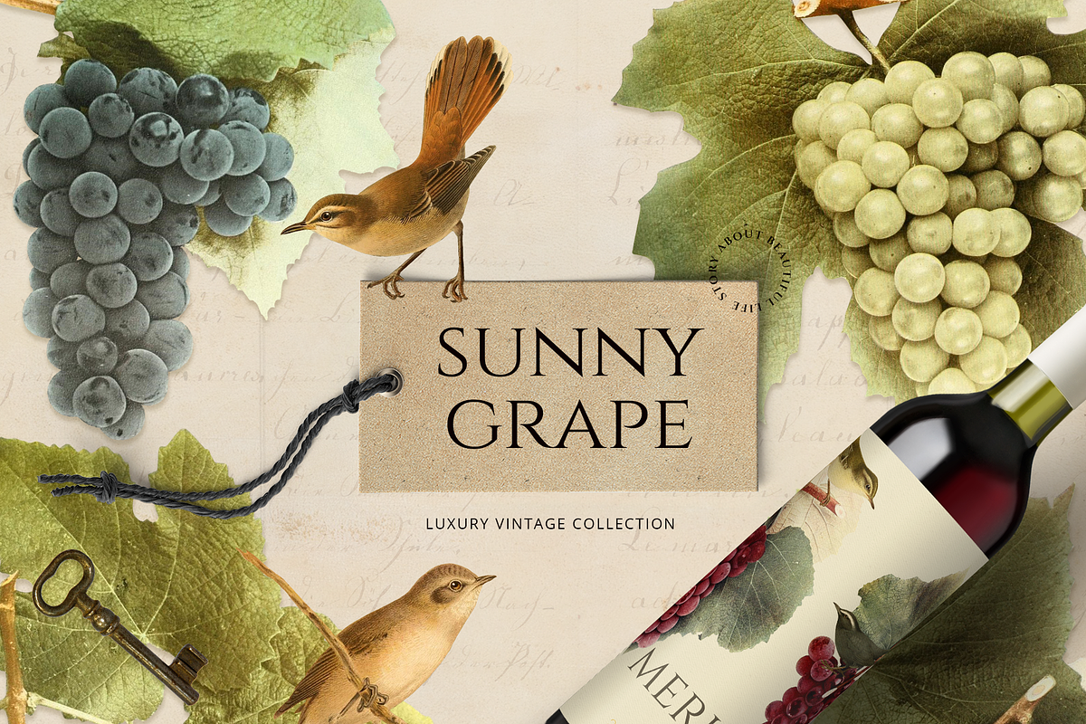 Sunny Grape - luxury vintage set in Objects - product preview 8