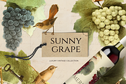 Sunny Grape - luxury vintage set