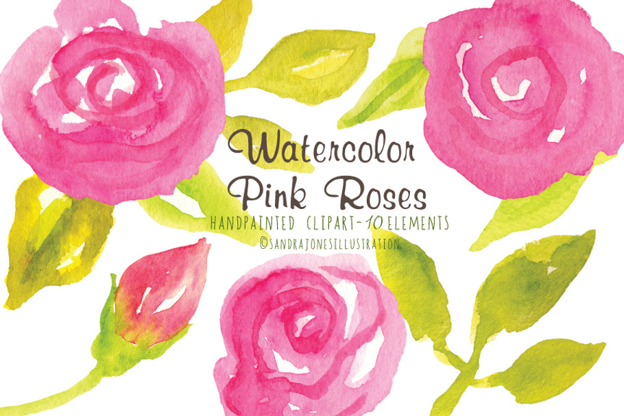 Watercolor Pink Roses in Illustrations - product preview 8