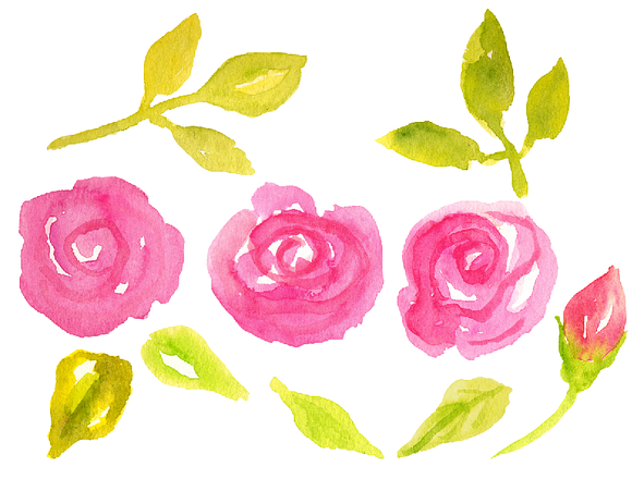 Watercolor Pink Roses in Illustrations - product preview 2