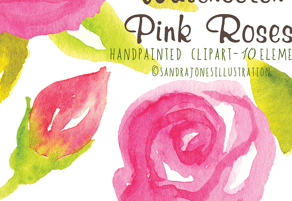 Watercolor Pink Roses in Illustrations - product preview 3