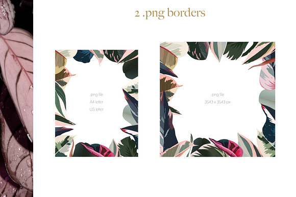 Pink tropical frames and patterns in Illustrations - product preview 1