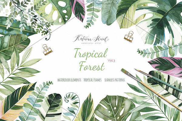 Tropical Forest. Vol.3