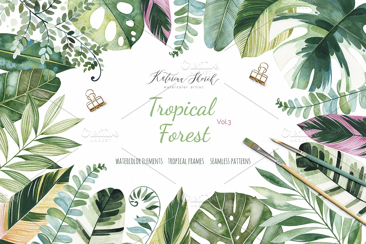 Tropical Forest. Vol.3 in Illustrations - product preview 8