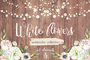 Watercolor collection White Flowers