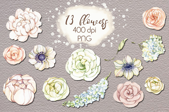 Watercolor collection White Flowers in Illustrations - product preview 1