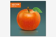 Realistic whole red apple vector
