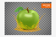 Realistic green apple vector