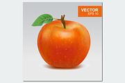 Realistic red apples vector