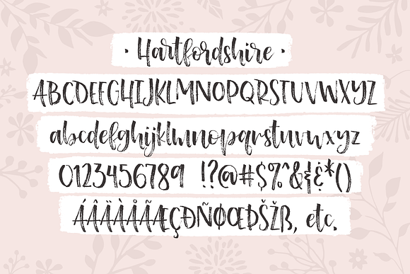 Hartfordshire, a farmhouse font in Script Fonts - product preview 1