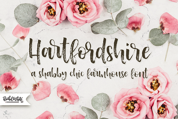 Hartfordshire, a farmhouse font in Script Fonts - product preview 3