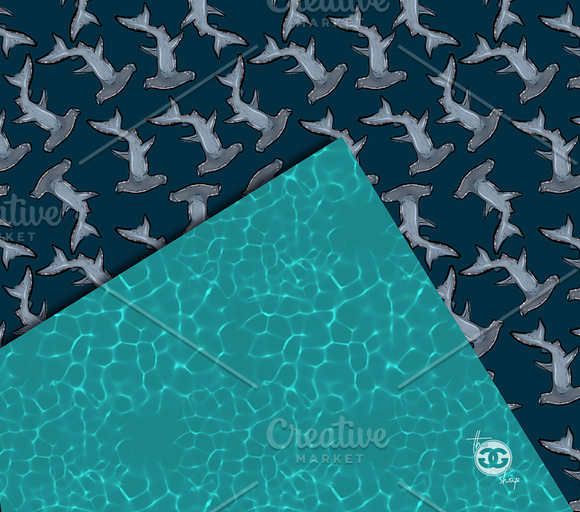 12 Ocean Creature Seamless patterns in Patterns - product preview 3