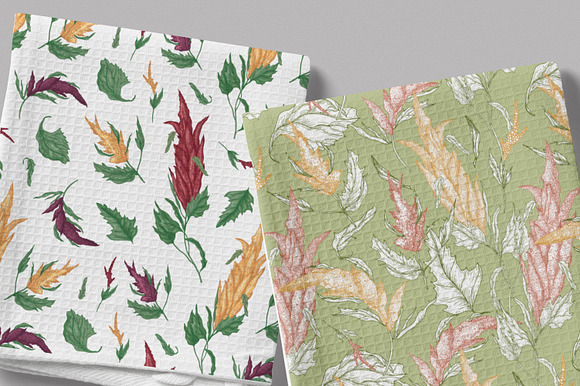 Quinoa plant set and seamless in Illustrations - product preview 8