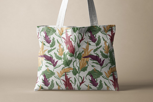Quinoa plant set and seamless in Illustrations - product preview 10