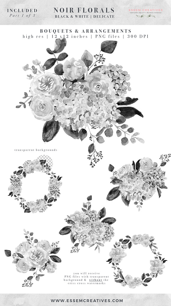 Black and White Flowers Graphics in Illustrations - product preview 3