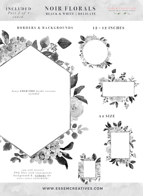 Black and White Flowers Graphics in Illustrations - product preview 5