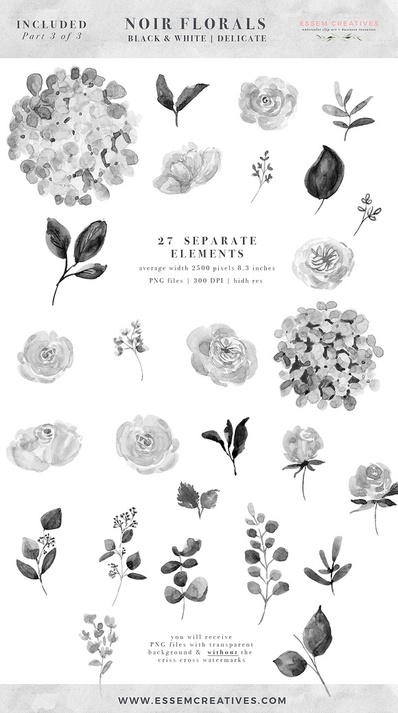 Black and White Flowers Graphics in Illustrations - product preview 6