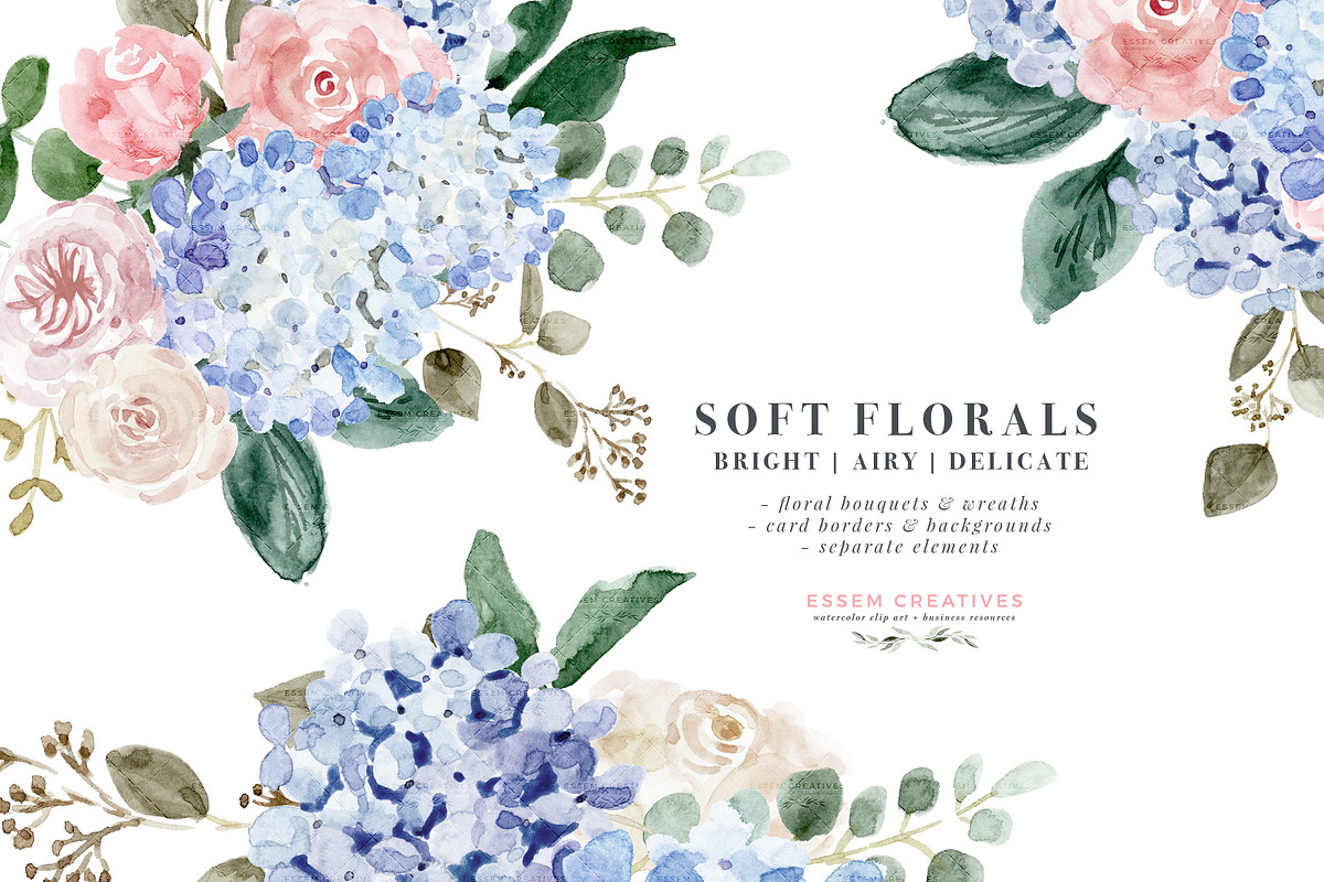 Watercolor Hydrangea & Roses Clipart in Illustrations - product preview 8
