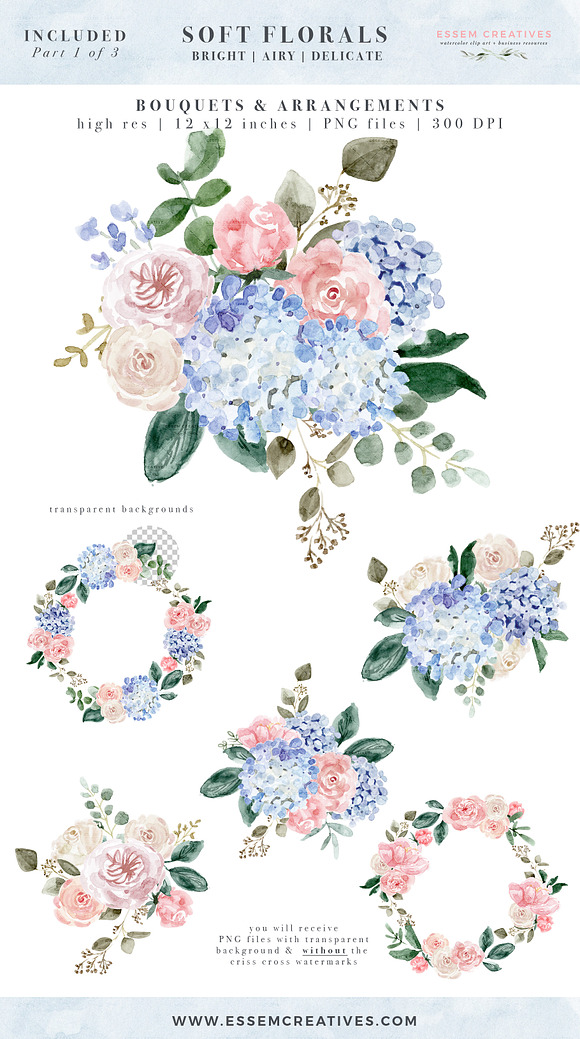 Watercolor Hydrangea & Roses Clipart in Illustrations - product preview 3