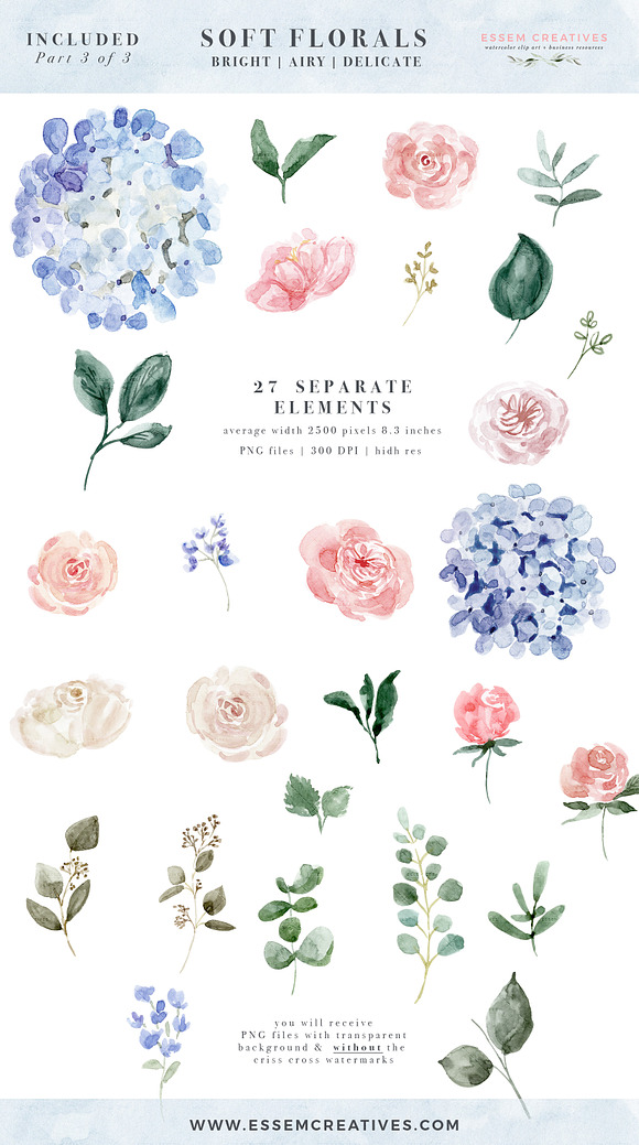 Watercolor Hydrangea & Roses Clipart in Illustrations - product preview 6