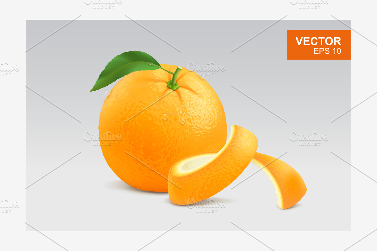 Realistic whole orange vector in Illustrations - product preview 8