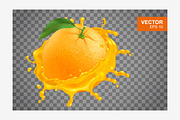 Realistic fresh orange vector