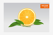 Slice of orange realistic vector