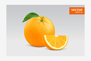 Realistic orange vector illustration