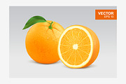 Realistic orange vector illustration