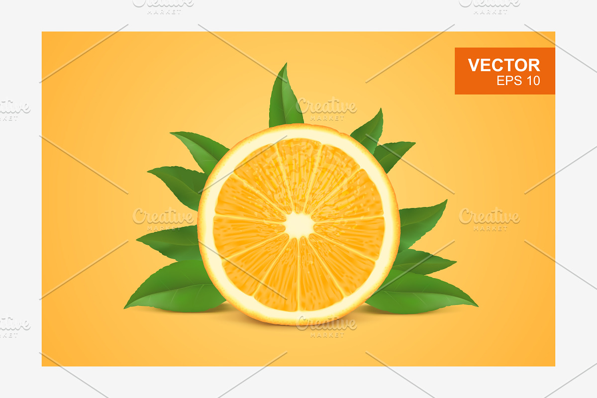 Slice of fresh orange vector in Illustrations - product preview 8