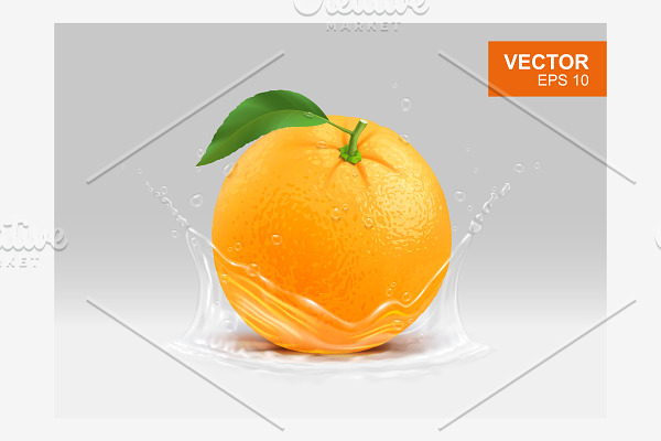 Whole yellow orange vector