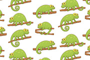 Set of Chameleons and Pattern