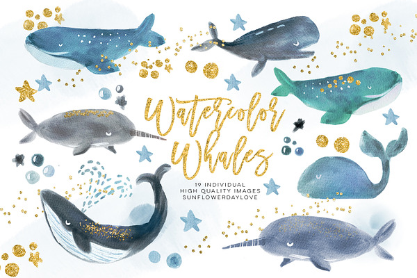 Whale Watercolour Clip Arts