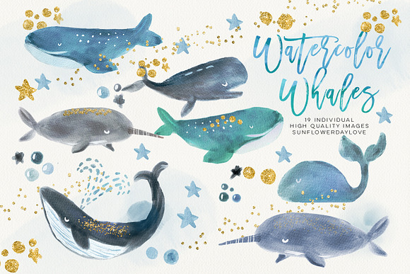 Whale Watercolour Clip Arts in Illustrations - product preview 1